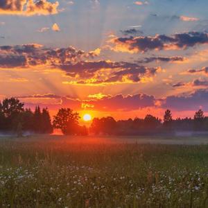 映山红（朝鲜语版）
