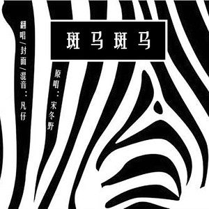 斑马斑马（Cover 宋冬野）