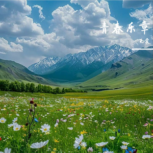 韶华易逝