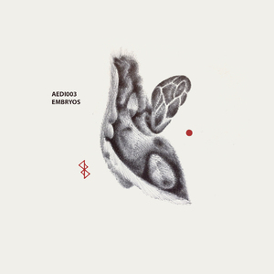 Embryo VI