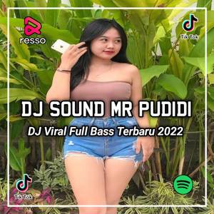 DJ SOUND MR PUDIDI x MAMA AFRIKA VIRAL TIKTOK