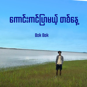 ကောင်းကင်ပြာမယ့်တစ်နေ့