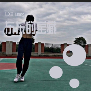 可惜不是你（翻自 刘大壮）