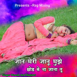 Jaan Meri Janu Mujhe Chod Ke Na Jana Tu (Acoustic)
