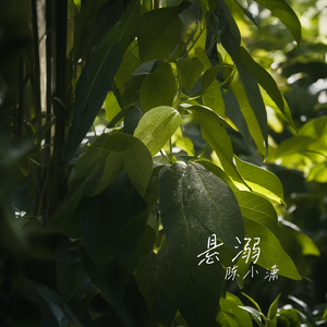 葛东琪-悬溺（陈小潇 remix）