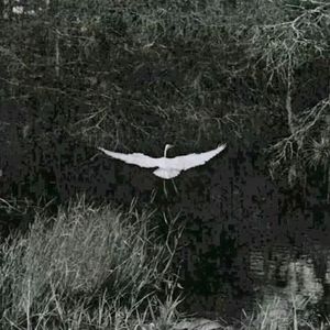 突然的自我（2025抒情版）