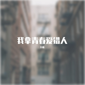 我拿青春爱错人