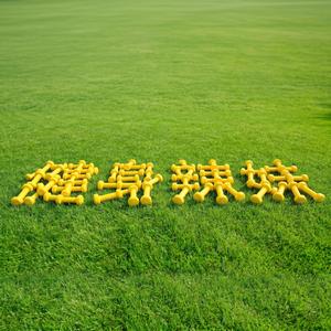 健身辣妹