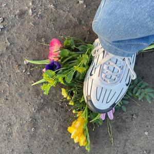 EHRLICH NICHT (VIP Mix)