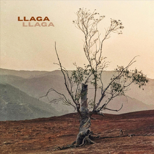 Llaga