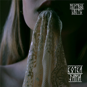 Мутная вода