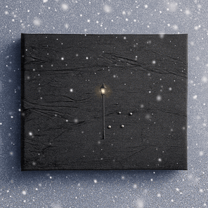 Footprints in the Snow