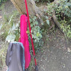 Volentieri (Diamanti volano)