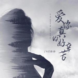 爱你真的好辛苦 (DJ何友版)