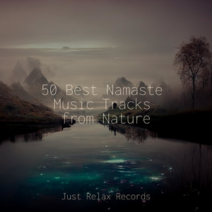 Echoes of Mind Murmurs