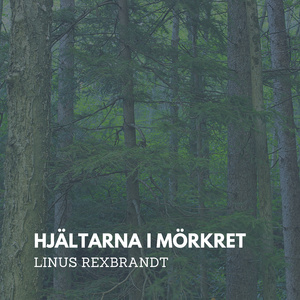 Hjältarna i mörkret