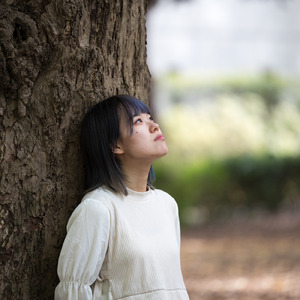 むらさき月見草