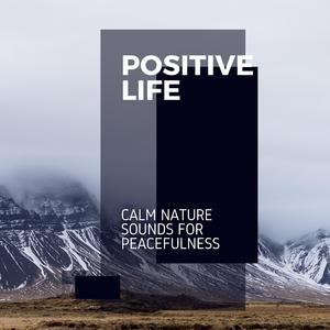 Soothing Woodland Point