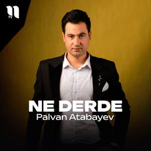 Ne derde