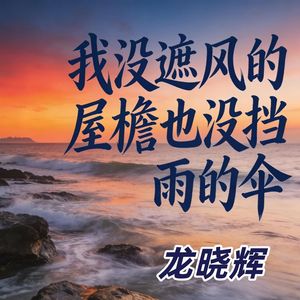 我没遮风的屋檐也没挡雨的伞