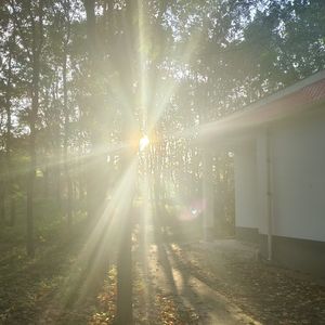 烟消云散(Prod.AIHS)