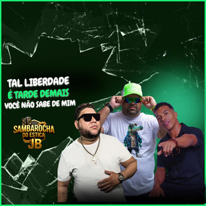 Tal Liberdade / Tarde Demais / Você Não Sabe de Mim