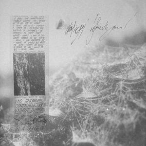 THE MOTH AND THE MOON BOTH COME HERE TO DIE