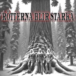 Rötterna Blir Starka