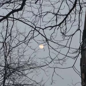 红拂夜奔（翻自 黄诗扶）