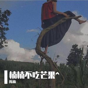 这么久没见（翻自 陈楠）