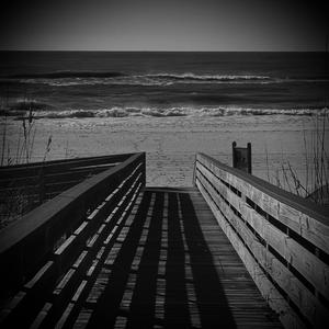 The Gray