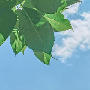 回到夏天