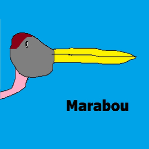 Marabou
