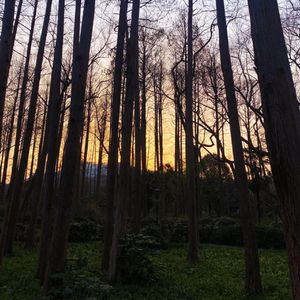 不沾血的利刃(Prod.by Morrow）