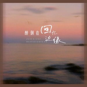 醉倒在回忆的边缘（翻自 张艺迈）