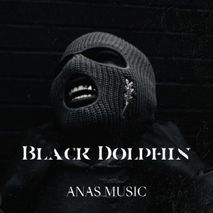 Black Dolphin