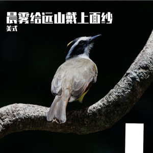 站在风里太久了