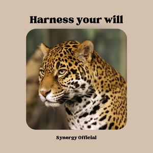 Harness your will