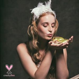 Males in Absence of Asperities (Afrixalus Vibekensis)