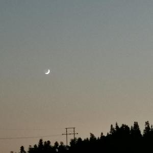 我还有点小糊涂