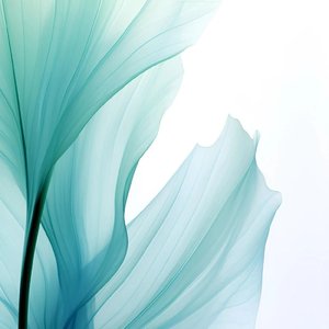 WAV文件_此生殊途_115794985486938625_1774938023167.wav