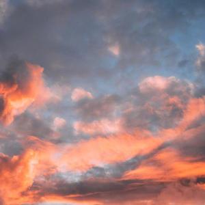 善变（翻自 王静雯）