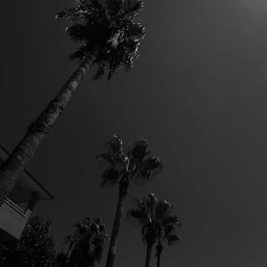 Starboy（Moleni remix）