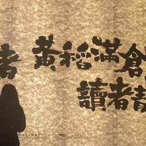 微光入星河