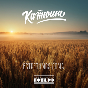 Встретимся дома