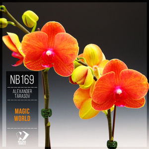 Magic World (Original Mix)