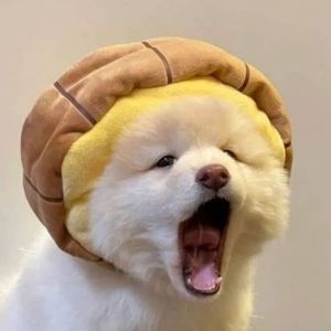 永远写不完的歌