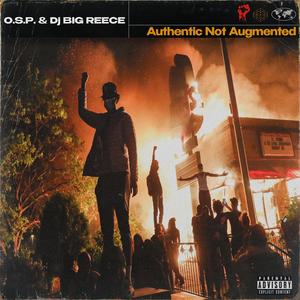 Authentic Not Augmented Intro (feat. Frank Sentwali)