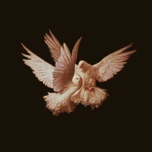 Cadence