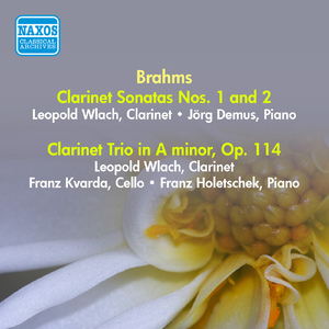 Trio in A Minor, Op. 114:II. Adagio